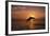 Dolphin-null-Framed Photographic Print