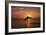 Dolphin-null-Framed Photographic Print