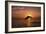 Dolphin-null-Framed Photographic Print