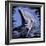 Dolphin-null-Framed Art Print