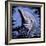 Dolphin-null-Framed Art Print