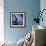 Dolphin-null-Framed Premium Giclee Print displayed on a wall