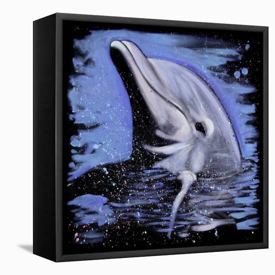 Dolphin-null-Framed Stretched Canvas