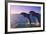 Dolphins Leaping from Sea, Roatan Island, Honduras-Keren Su-Framed Photographic Print