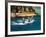 Dolphins, Sea World, Gold Coast, Queensland, Australia-David Wall-Framed Photographic Print