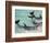 Dolphins, Sea World, Gold Coast, Queensland, Australia-David Wall-Framed Photographic Print