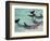 Dolphins, Sea World, Gold Coast, Queensland, Australia-David Wall-Framed Photographic Print