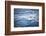 Dolphins Seen Near Whakatane and Tauranga in the Bay of Plenty, North Island, New Zealand, Pacific-Matthew Williams-Ellis-Framed Photographic Print