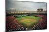 Dolphins Stadium, Miami-Ira Rosen-Mounted Art Print