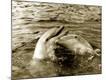 Premium Photographic Print