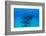 Dolphins Swimming in Pacific Ocean, Hawaii, USA-null-Framed Photographic Print