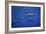 Dolphins-Barathieu Gabriel-Framed Giclee Print