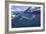 Dolphins-Barathieu Gabriel-Framed Giclee Print