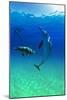 Dolphins-null-Mounted Photographic Print