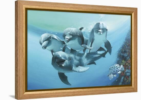 Dolphins-Durwood Coffey-Framed Premier Image Canvas