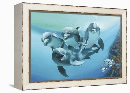 Dolphins-Durwood Coffey-Framed Premier Image Canvas