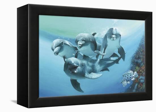 Dolphins-Durwood Coffey-Framed Premier Image Canvas