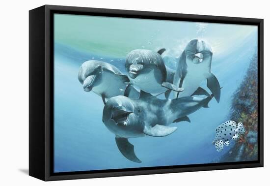 Dolphins-Durwood Coffey-Framed Premier Image Canvas