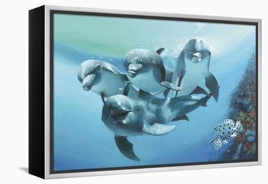 Dolphins-Durwood Coffey-Framed Premier Image Canvas