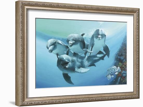 Dolphins-Durwood Coffey-Framed Giclee Print
