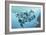 Dolphins-Durwood Coffey-Framed Giclee Print