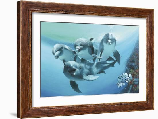 Dolphins-Durwood Coffey-Framed Giclee Print