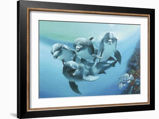 Dolphins-Durwood Coffey-Framed Giclee Print