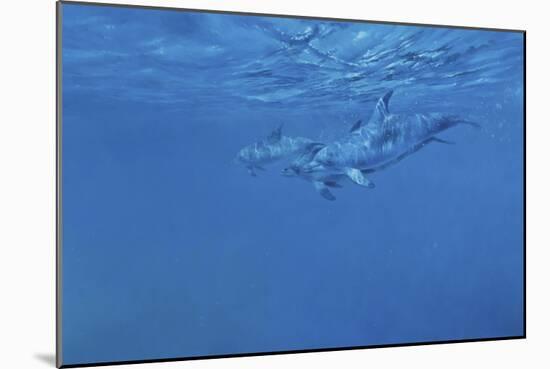 Dolphins-Michael Jackson-Mounted Giclee Print