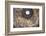 Dome Fresco of the Last Judgement by Giorgio Vasari and Federico Zuccari Inside the Duomo-Stuart Black-Framed Photographic Print