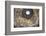 Dome Fresco of the Last Judgement by Giorgio Vasari and Federico Zuccari Inside the Duomo-Stuart Black-Framed Photographic Print