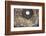 Dome Fresco of the Last Judgement by Giorgio Vasari and Federico Zuccari Inside the Duomo-Stuart Black-Framed Photographic Print