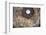 Dome Fresco of the Last Judgement by Giorgio Vasari and Federico Zuccari Inside the Duomo-Stuart Black-Framed Photographic Print