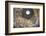 Dome Fresco of the Last Judgement by Giorgio Vasari and Federico Zuccari Inside the Duomo-Stuart Black-Framed Photographic Print