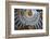 Dome Interior in the Church of the Holy Sepulchre-Jon Hicks-Framed Photographic Print