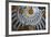 Dome Interior in the Church of the Holy Sepulchre-Jon Hicks-Framed Photographic Print