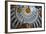 Dome Interior in the Church of the Holy Sepulchre-Jon Hicks-Framed Photographic Print