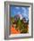 Dome of A Church, San Miguel De Allende, Guanajuato State, Mexico-Julie Eggers-Framed Photographic Print