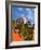 Dome of A Church, San Miguel De Allende, Guanajuato State, Mexico-Julie Eggers-Framed Photographic Print