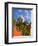 Dome of A Church, San Miguel De Allende, Guanajuato State, Mexico-Julie Eggers-Framed Photographic Print