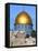 Dome of Rock Above Western Wall Plaza, Old City, UNESCO World Heritage Site, Jerusalem, Israel-Gavin Hellier-Framed Premier Image Canvas