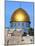 Dome of Rock Above Western Wall Plaza, Old City, UNESCO World Heritage Site, Jerusalem, Israel-Gavin Hellier-Mounted Photographic Print