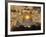 Dome of the Rock, Jerusalem, Israel-Yvette Cardozo-Framed Photographic Print