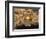 Dome of the Rock, Jerusalem, Israel-Yvette Cardozo-Framed Photographic Print