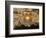 Dome of the Rock, Jerusalem, Israel-Yvette Cardozo-Framed Photographic Print