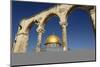 Dome of the Rock Mosque, Temple Mount, UNESCO World Heritage Site, Jerusalem, Israel, Middle East-Yadid Levy-Mounted Photographic Print