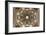 Dome with Scenes from Old Testament-null-Framed Giclee Print