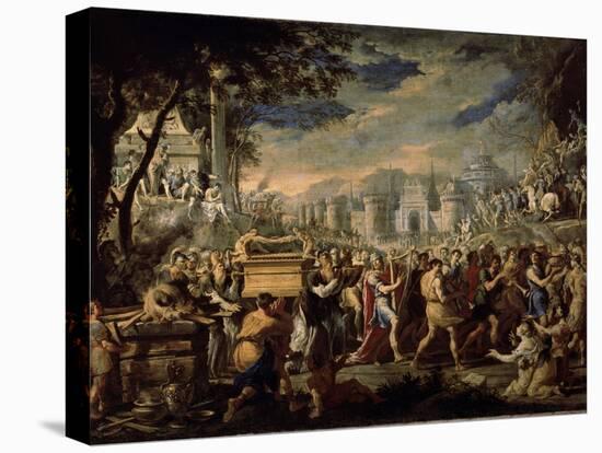 Stretched Canvas Print, , large