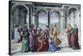 Stretched Canvas Print