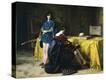 Stretched Canvas Print