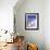 Domes and Bell Tower of Blue and White Christian Church, Oia, Santorini, Aegean Sea, Greece-Sergio Pitamitz-Framed Photographic Print displayed on a wall